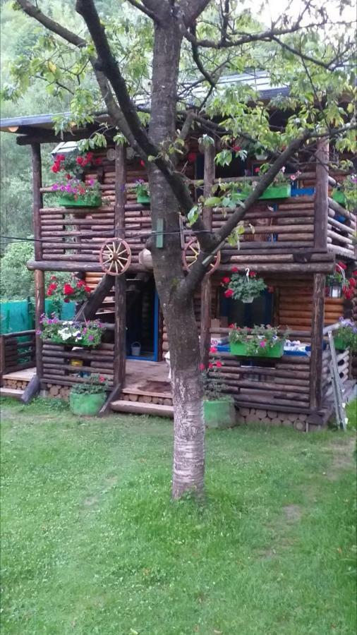 Pensiunea Anita Vişeu de Sus Exteriér fotografie